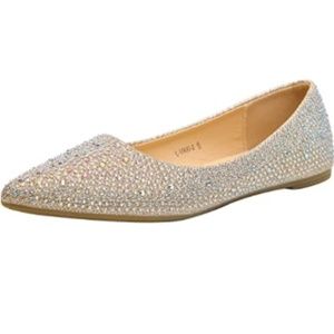 NWT Sparkly Champagne Pointed Flats-Size 6.5